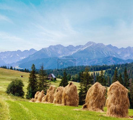 Photo for Summer mountain village outskirts with haystacks and Tatra range behind (Poland) - Royalty Free Image