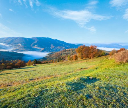 Photo for Autumn misty morning mountain hill (Carpathian Mt's, Ukraine). - Royalty Free Image