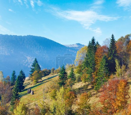 Téléchargez les photos : Forêt de montagne ensoleillée d'automne à flanc de montagne (Carpates, Ukraine
) - en image libre de droit