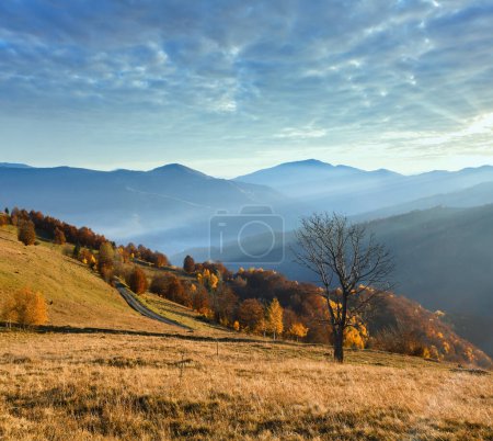 Téléchargez les photos : Route rurale, arbres colorés sur la pente de montagne d'automne et rayons de soleil dessus
. - en image libre de droit