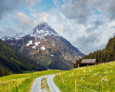Foto de Paisaje montañoso de verano con pendiente floreciente y carretera rural (Alpes Silvretta, Austria
). - Imagen libre de derechos