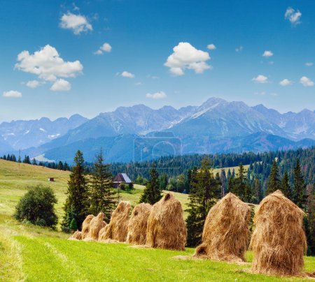Foto de Verano pueblo de montaña a las afueras con pajar y la cordillera de Tatra detrás (Polonia
) - Imagen libre de derechos