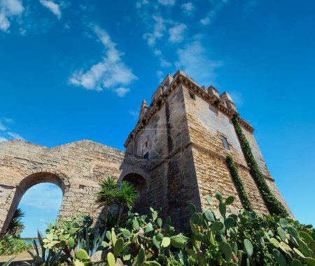 Téléchargez les photos : Tour de fortification historique pittoresque Torre Colimena sur la côte Ionienne du Salento, Tarente, Pouilles, Italie - en image libre de droit