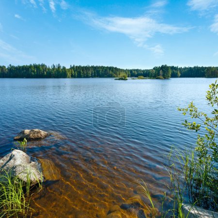 Téléchargez les photos : Lac vue d'été avec forêt sur le bord (Finlande
). - en image libre de droit