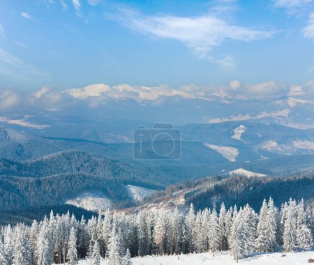 Foto de Mañana invierno tranquilo paisaje de montaña con hermosos abetos en la pendiente (Monte Kukol, Montañas Cárpatos, Ucrania
) - Imagen libre de derechos