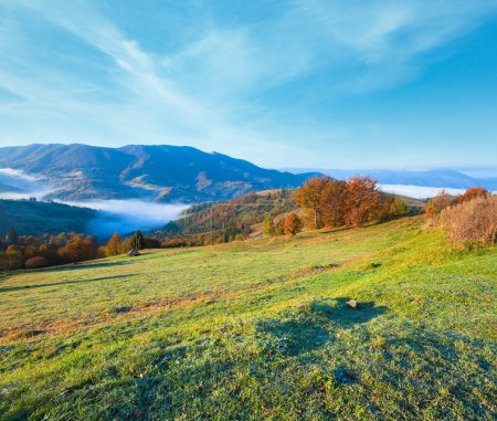 Téléchargez les photos : Automne matin brumeux colline de montagne (Carpates, Ukraine). - en image libre de droit