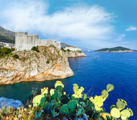 Téléchargez les photos : Célèbre vieille ville de Dubrovnik en Croatie et cactus en face
. - en image libre de droit