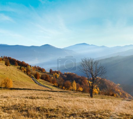 Foto de Camino rural, árboles coloridos en la ladera de la montaña de otoño y rayos de sol sobre ella (Cárpatos, Ucrania). - Imagen libre de derechos