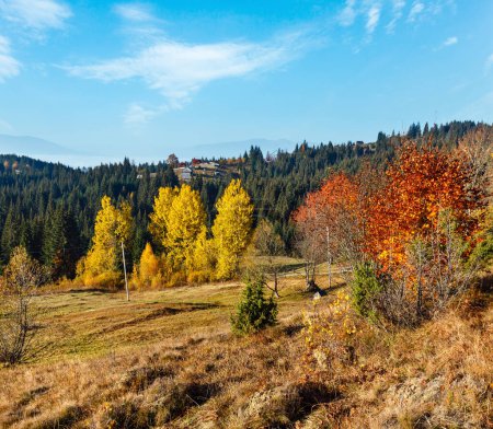 Foto de Cuestas de otoño por la mañana (con árboles de colores) de las montañas de los Cárpatos (Yablunytskyj Pass, Ivano-Frankivsk oblast, Ucrania
). - Imagen libre de derechos