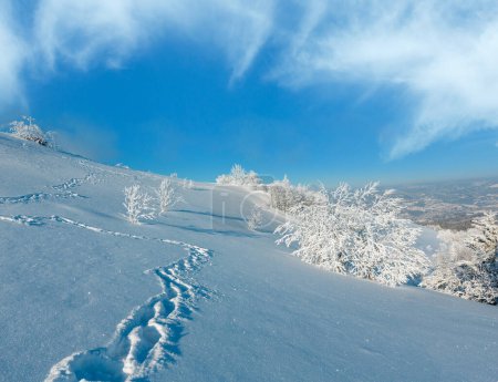 Téléchargez les photos : Matin hiver paysage de montagne calme avec de beaux arbres verglaçants et sentier de randonnée à travers les dérives de neige sur la pente de montagne (Carpates, Ukraine
) - en image libre de droit