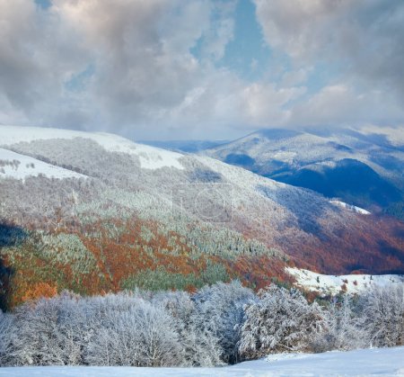 Téléchargez les photos : Octobre lisière de forêt de hêtres de montagne avec première neige d'hiver et feuillage coloré d'automne dernier sur le flanc de montagne lointain - en image libre de droit