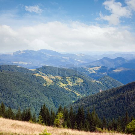 Téléchargez les photos : Paysage montagneux estival avec prairies fleuries en face - en image libre de droit