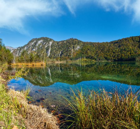 Téléchargez les photos : Vue alpine d'automne idyllique ensoleillée et colorée. Lac de montagne paisible avec une eau claire et transparente et des reflets. Lac d'Almsee, Haute-Autriche
. - en image libre de droit