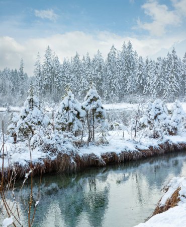 Téléchargez les photos : Petit ruisseau d'hiver avec des arbres enneigés sur la rive
. - en image libre de droit
