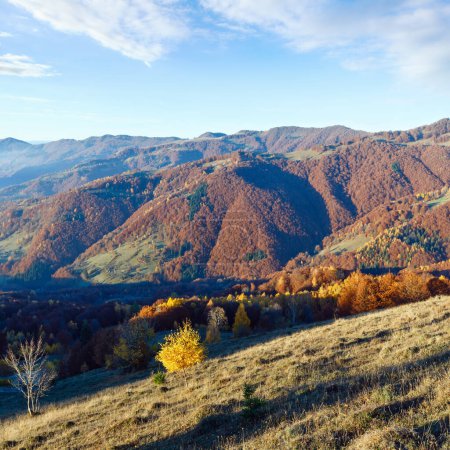 Téléchargez les photos : Brouillard matinal en automne des Carpates. Paysage de montagne avec des arbres colorés sur la pente
. - en image libre de droit