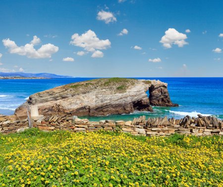 Téléchargez les photos : Paysage estival de la côte cantabrique en fleurs (Cathedrals Beach, Lugo, Galice, Espagne)
). - en image libre de droit