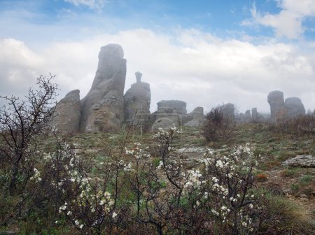 Foto de Montaña rocosa vista brumosa (Demerdzhi Monte, Crimea, Ucrania
) - Imagen libre de derechos
