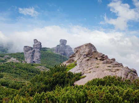 Foto de Cordillera de verano con grandes rocas pedregosas. Viento con nubes bajas y niebla. Cárpatos, Chornohora, Vuhatyj Kaminj, Ucrania
. - Imagen libre de derechos