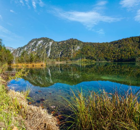 Téléchargez les photos : Vue alpine d'automne idyllique ensoleillée et colorée. Lac de montagne paisible avec une eau claire et transparente et des reflets. Lac d'Almsee, Haute-Autriche
. - en image libre de droit