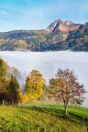 Photo for Sunny idyllic autumn alpine scene. Peaceful misty morning Alps mountain view from hiking path from Dorfgastein to Paarseen lakes, Land Salzburg, Austria. Picturesque hiking and seasonal concept scene. - Royalty Free Image