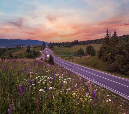 Photo for Picturesque twilight June Carpathian mountain countryside meadows and highway. Abundance of vegetation and beautiful wild flowers. - Royalty Free Image