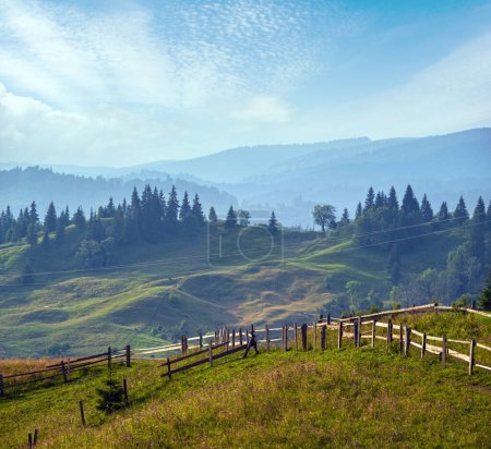 Photo for Picturesque summer Carpathian mountain countryside view, Ukraine - Royalty Free Image