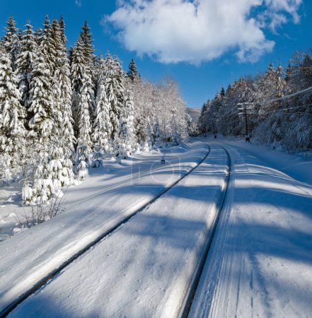 Téléchargez les photos : Chemin de fer à travers la forêt de sapins neigeux et casque alpin éloigné dans les montagnes des Carpates, les dérives de neige sur le bord de la route - en image libre de droit