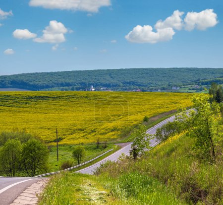 Photo for Road through spring rapeseed yellow blooming fields view. Natural seasonal, good weather, climate, eco, farming, countryside beauty concept. - Royalty Free Image