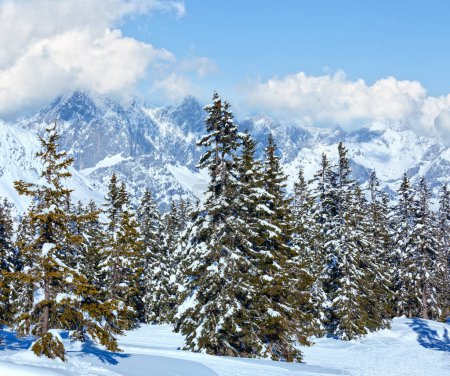 Foto de Invierno montaña abeto bosque nevado paisaje (parte superior de Papageno bahn - Filzmoos, Austria
) - Imagen libre de derechos