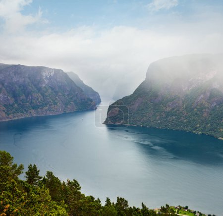 Téléchargez les photos : Vew de fjord couvert brumeux d'été de Stegastein Viewpoint (Aurland, Sogn og Fjordane, Norvège
) - en image libre de droit