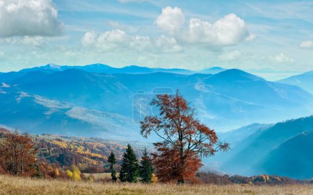 Photo for Autumn misty Carpathian mountain landscape with colorful trees on slope. - Royalty Free Image