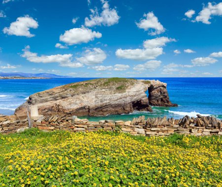 Téléchargez les photos : Paysage estival de la côte cantabrique en fleurs (Cathedrals Beach, Lugo, Galice, Espagne)
). - en image libre de droit