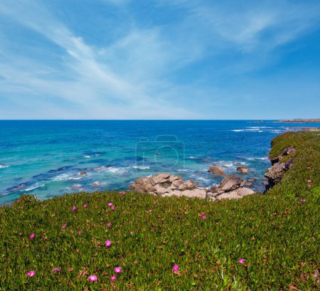 Photo for Summer blossoming Atlantic coastline landscape with pink flowers (near Los Castros beach, Galicia, Spain). - Royalty Free Image