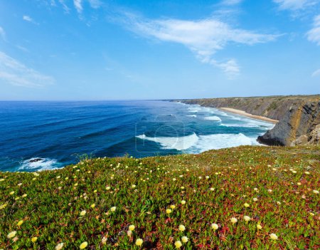 Foto de Verano floreciente paisaje de la costa del océano Atlántico (cabo Ponta Da Arrifana, Aljezur, Algarve, Portugal
). - Imagen libre de derechos