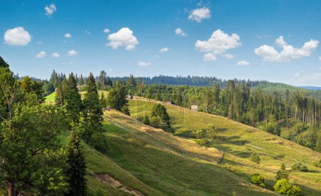 Foto de Pintoresco verano Cárpatos vista al campo de montaña, Ucrania - Imagen libre de derechos