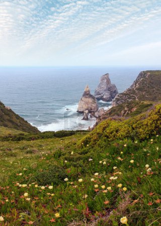 Foto de Verano floreciente costa del océano Atlántico (rocas de granito y acantilados de mar) en el tiempo nublado. Vista desde Cabo Roca (Cabo da Roca), Portugal
. - Imagen libre de derechos