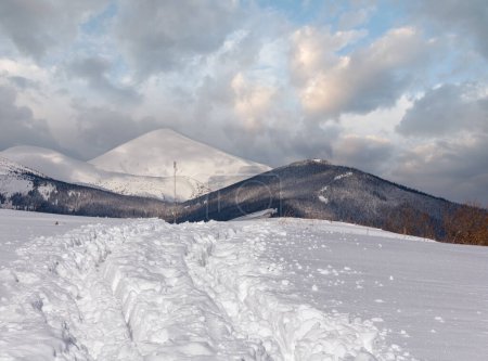 Photo for Sledge trace and footprints on winter mountain hill top and snow covered picturesque alp Chornohora ridge (Ukraine, Carpathian Mountains, tranquility peaceful view from Dzembronya village outskirts). - Royalty Free Image