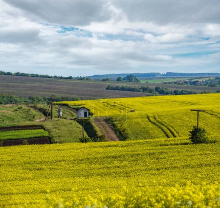 Photo for Spring countryside view with dirty road, rapeseed yellow blooming fields, village, hills. Ukraine, Lviv Region. - Royalty Free Image