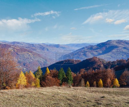 Téléchargez les photos : Arbres colorés sur la pente et automne montagne brumeuse derrière
. - en image libre de droit