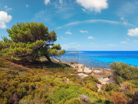 Téléchargez les photos : Paysage de la côte de la mer Égée, vue près de la plage de Karidi (Chalcidique, Grèce
). - en image libre de droit