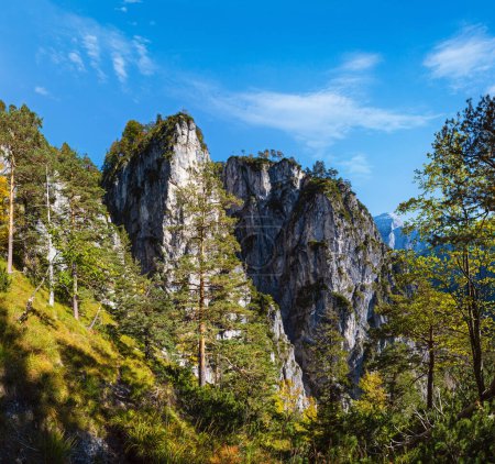Téléchargez les photos : Ensoleillé idyllique coloré automne scène alpine. Vue paisible sur les montagnes rocheuses depuis le sentier de randonnée près du lac Almsee, Haute-Autriche. - en image libre de droit