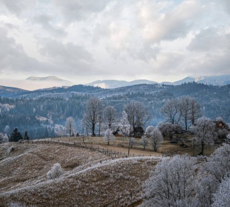 Téléchargez les photos : L'hiver arrive. Scène matinale pittoresque brumeuse et lunatique à la fin de l'automne, campagne montagneuse avec givre sur les herbes, les arbres et les pentes. Ukraine, Carpates. - en image libre de droit