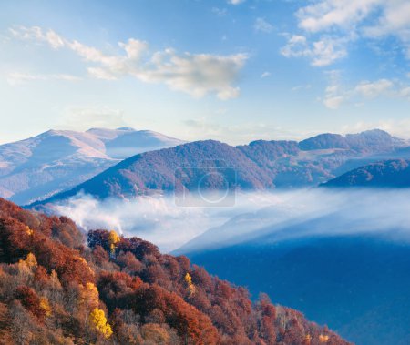 Téléchargez les photos : Forêt colorée sur la pente automnale et nuages entre les sommets
. - en image libre de droit