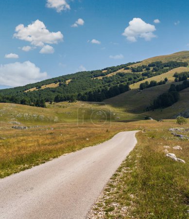 Foto de Manada de ovejas en pastos cerca de la carretera rural secundaria a través de la montaña Parque Nacional Durmitor, Montenegro, Europa, Balcanes Alpes Dináricos, Patrimonio de la Humanidad por la UNESCO
. - Imagen libre de derechos