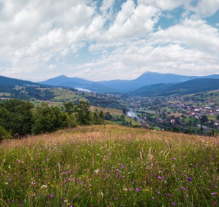 Photo for Picturesque summer Carpathian mountain countryside meadows. Abundance of vegetation and beautiful wild flowers.  Hoverla and Petros tops in far. - Royalty Free Image