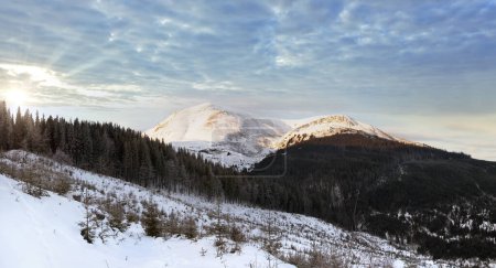 Téléchargez les photos : Paysage de montagne d'hiver (Ukraine, Carpates, Petros Mountain
) - en image libre de droit