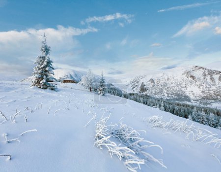 Photo for Morning winter mountain landscape with snow covered trees and house on slope - Royalty Free Image
