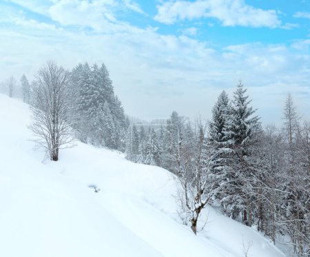 Foto de Montaña de invierno brumoso día aburrido paisaje nevado - Imagen libre de derechos