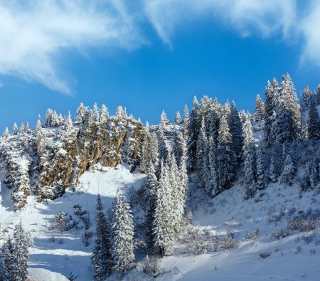 Téléchargez les photos : Montagne d'hiver avec sapin neigeux sur pente rocheuse
. - en image libre de droit
