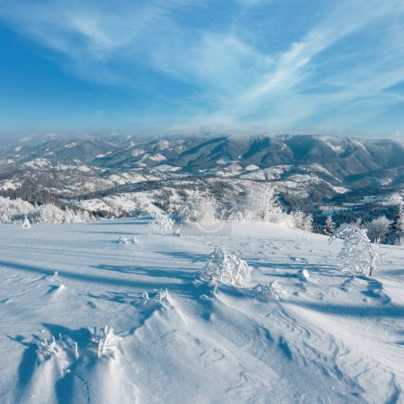 Téléchargez les photos : Matin hiver paysage de montagne calme avec de beaux arbres verglaçants et des dérives de neige sur la pente (Carpates, Ukraine
) - en image libre de droit